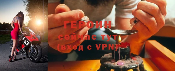 молекула духа Вяземский