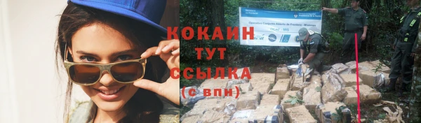 прущая мука Вязьма
