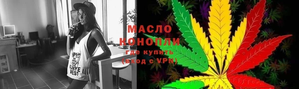 молекула духа Вяземский
