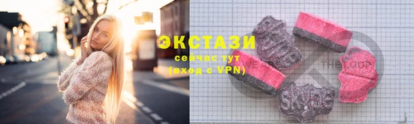молекула духа Вяземский