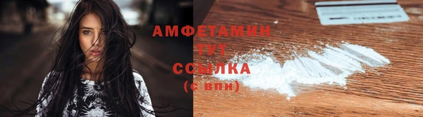 молекула духа Вяземский