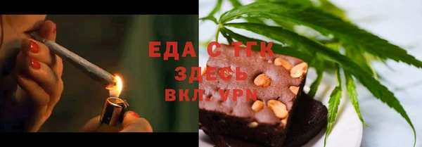 молекула духа Вяземский