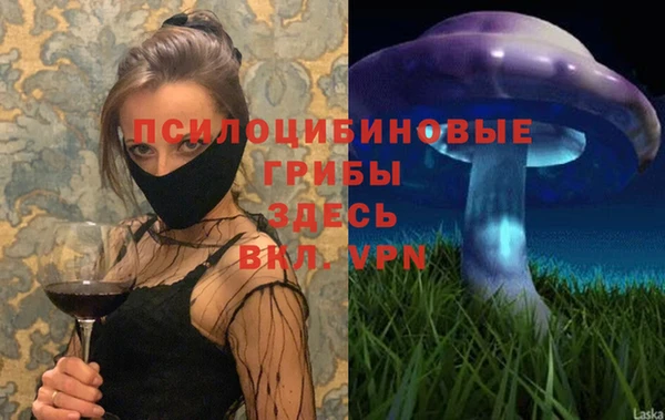 спиды Вязники