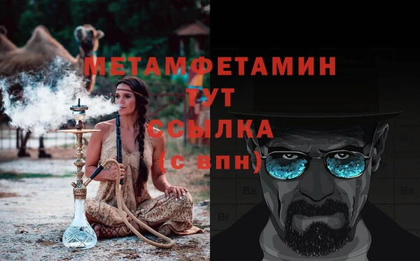 молекула духа Вяземский