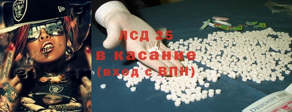 молекула духа Вяземский