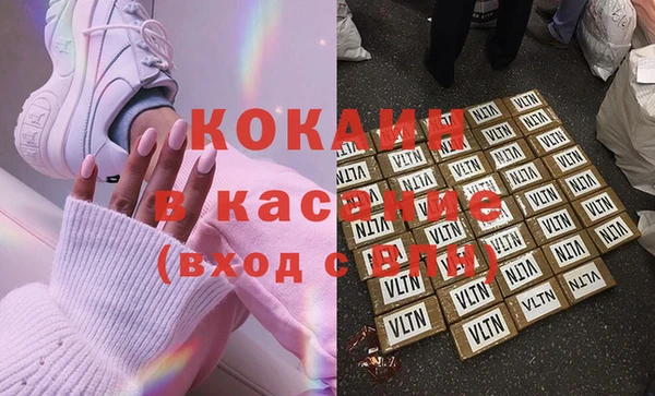 молекула духа Вяземский