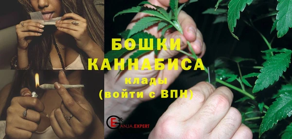 молекула духа Вяземский