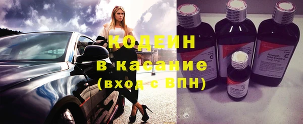 молекула духа Вяземский