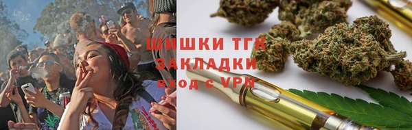 молекула духа Вяземский