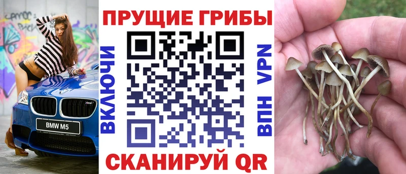 Псилоцибиновые грибы ЛСД  Майкоп 